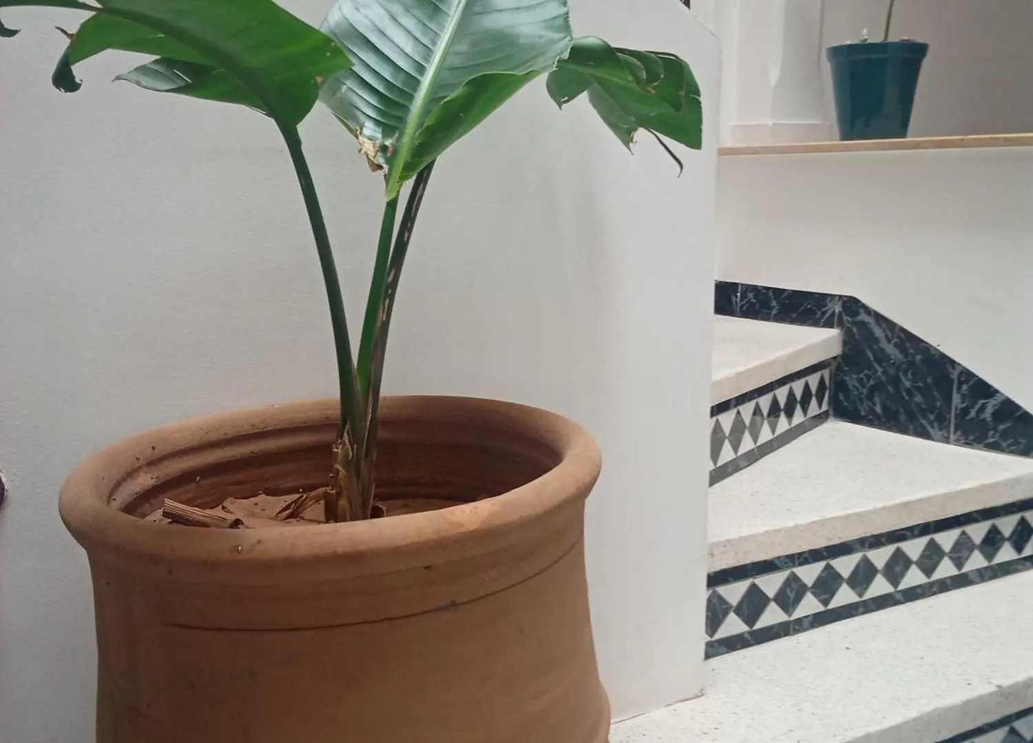 בית נופש מרקש Riad Sun And Swim Marrakech