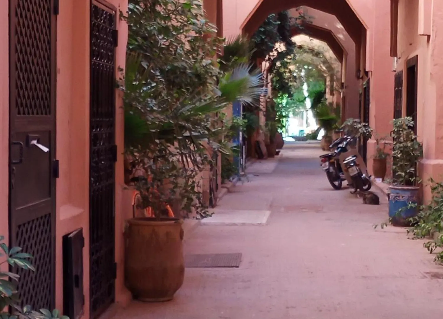 מרקש Riad Sun And Swim Marrakech