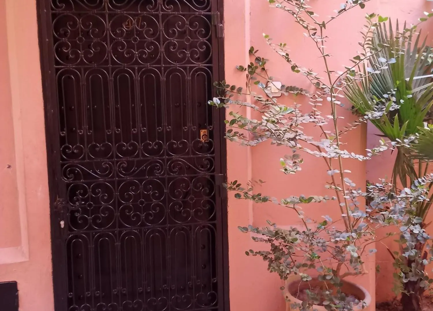 מרקש Riad Sun And Swim Marrakech מרוקו